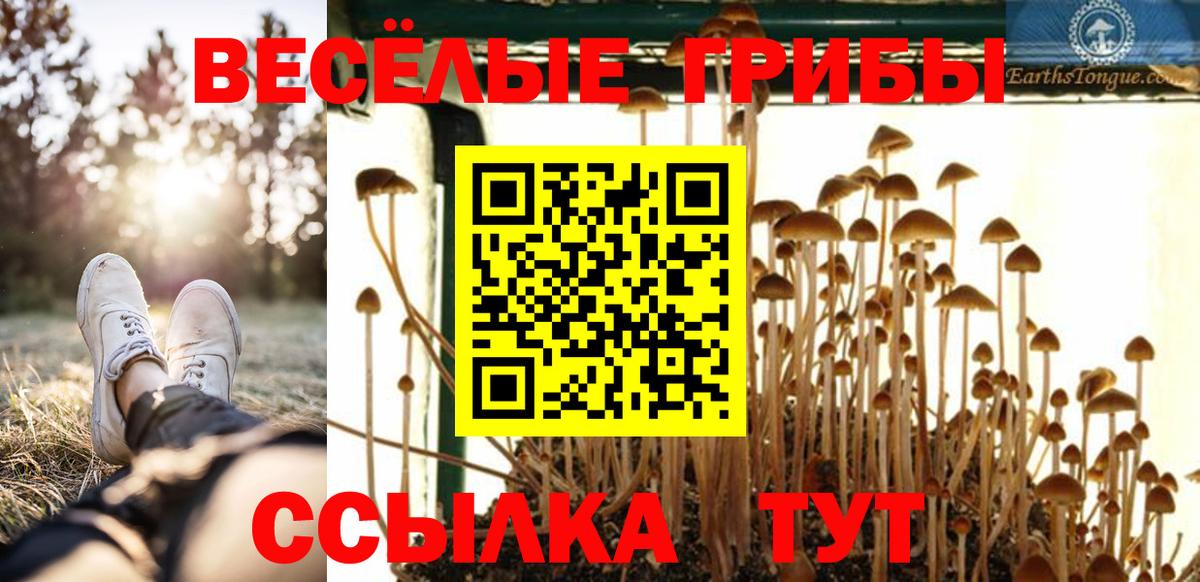 Брянск  Псилоцибиновые грибы прущие грибы  Вход с VPN 